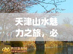 虫蚀鸟步