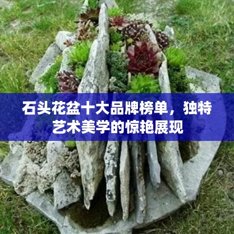 营销网络 第32页