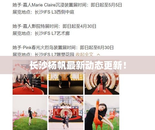 长沙杨帆最新动态更新！