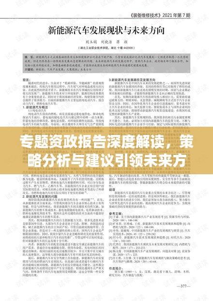 专题资政报告深度解读，策略分析与建议引领未来方向