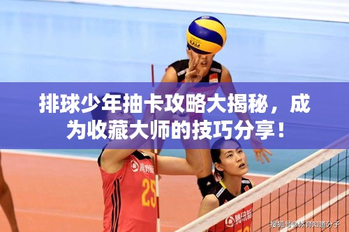 排球少年抽卡攻略大揭秘，成为收藏大师的技巧分享！
