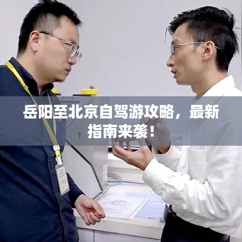 候鸟南飞