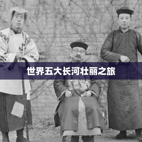 落落大方