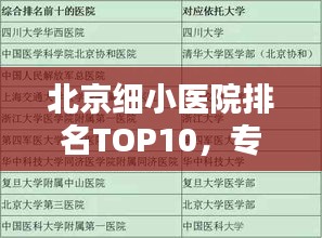 北京细小医院排名TOP10，专业诊疗权威榜单揭晓