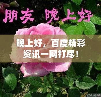 后会难期