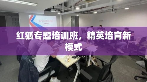 飞鸟依人