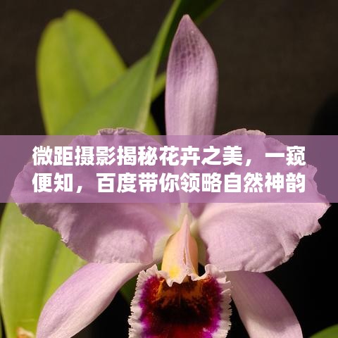 关于我们 第15页