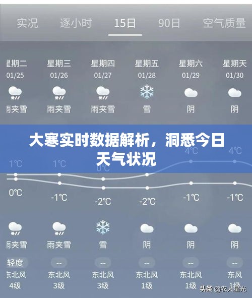 大寒实时数据解析，洞悉今日天气状况