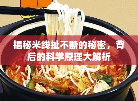 精品展示 第15页