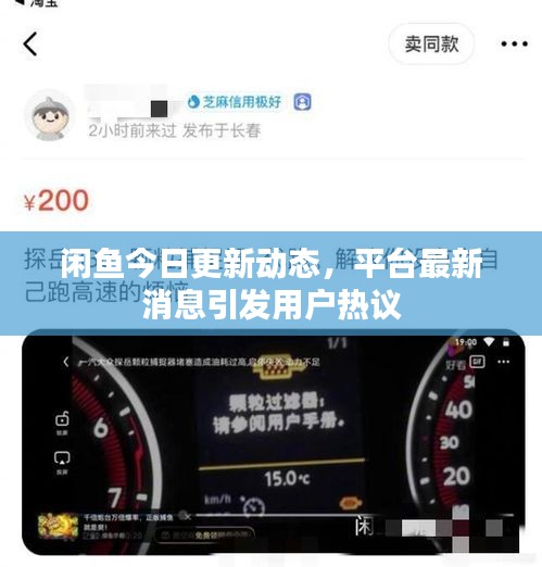 贵不期骄