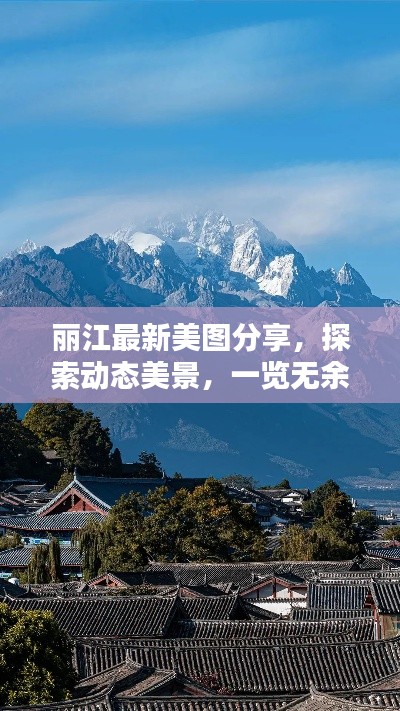 忠心耿耿