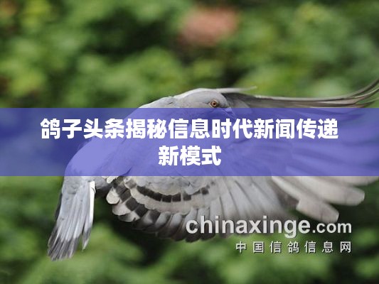 马马虎虎