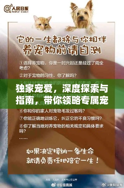 听见风就是雨