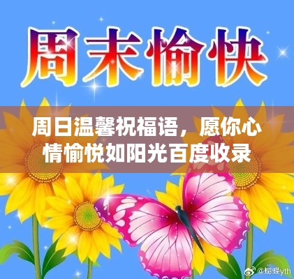 关于我们 第7页