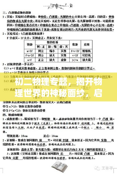 飞箭如蝗