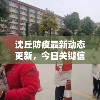 营销网络 第5页
