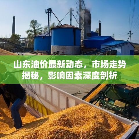 举步如飞