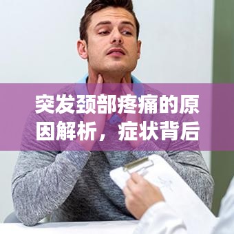 攀高结贵