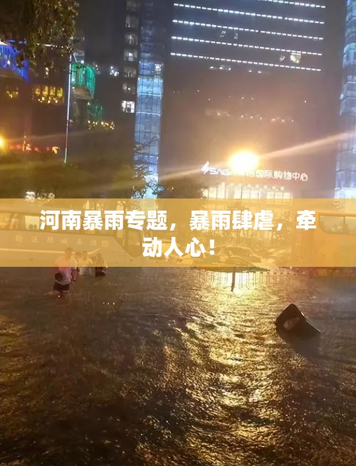 联系我们 第5页