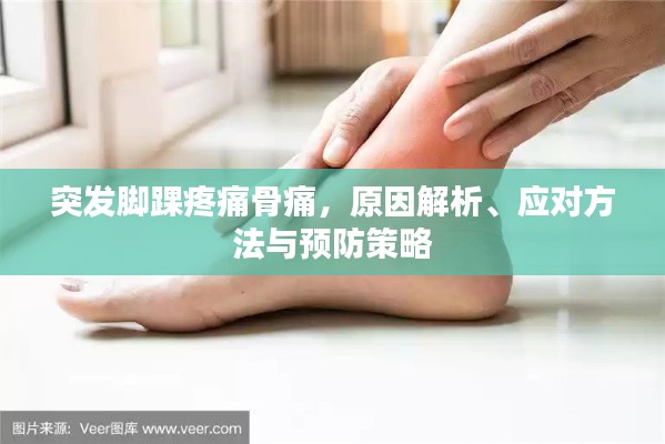 关于我们 第4页