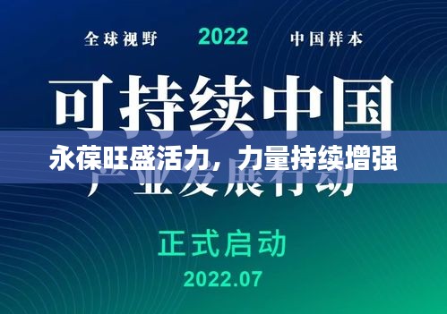 笨鸟先飞