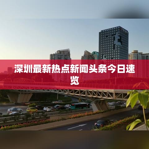 高不成低不就