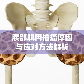 风驰电掣