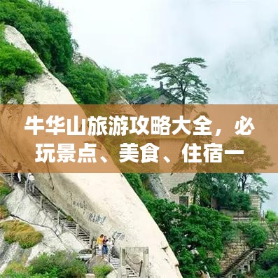 风华绝代