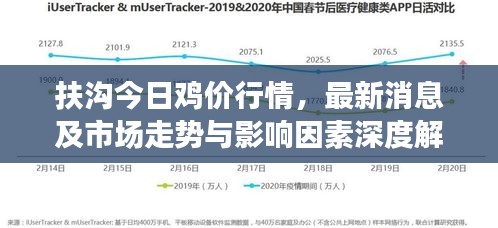 关于我们 第15页
