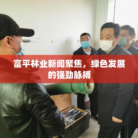 富平林业新闻聚焦，绿色发展的强劲脉搏